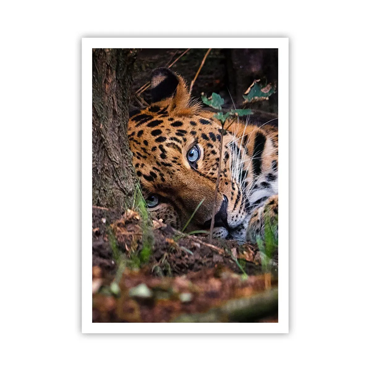 Poster - Vertrau mir - 70x100 cm
