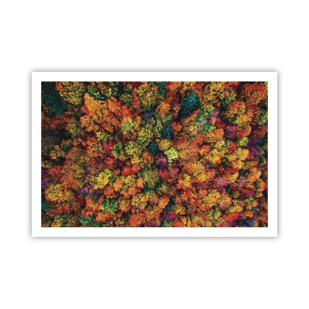 Poster - Blumenstrauß aus Herbstbäumen - 91x61 cm
