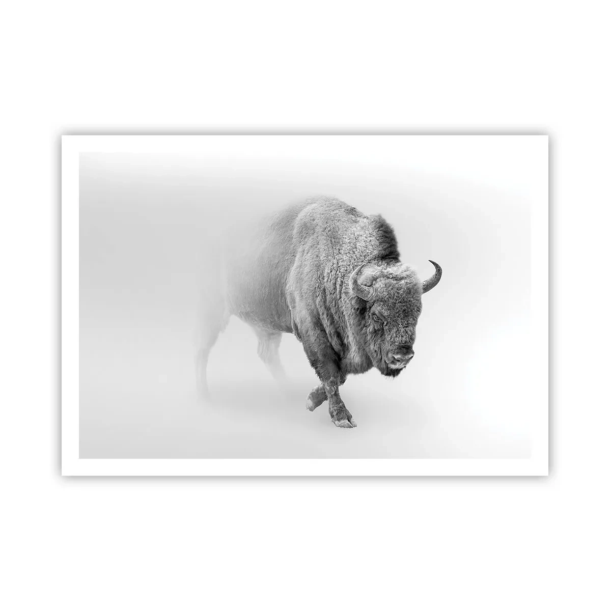 Poster - Weißer Bison in minimalistischem Ambiente - 100x70cm - König der Prärie - Moderne Wanddekoration für Wohnzimmer und Schlafzimmer ARTTOR