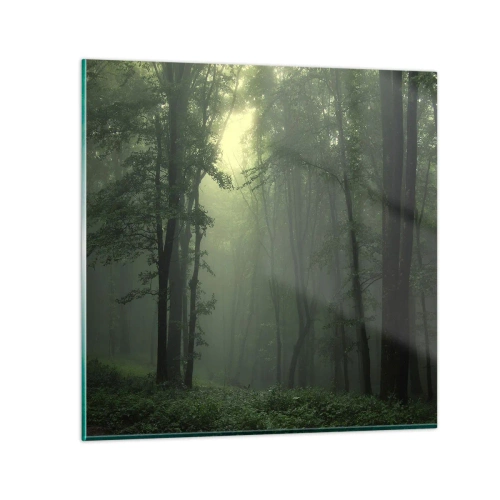 Glasbild - Bild auf glas - Bevor er aufwacht - 40x40 cm