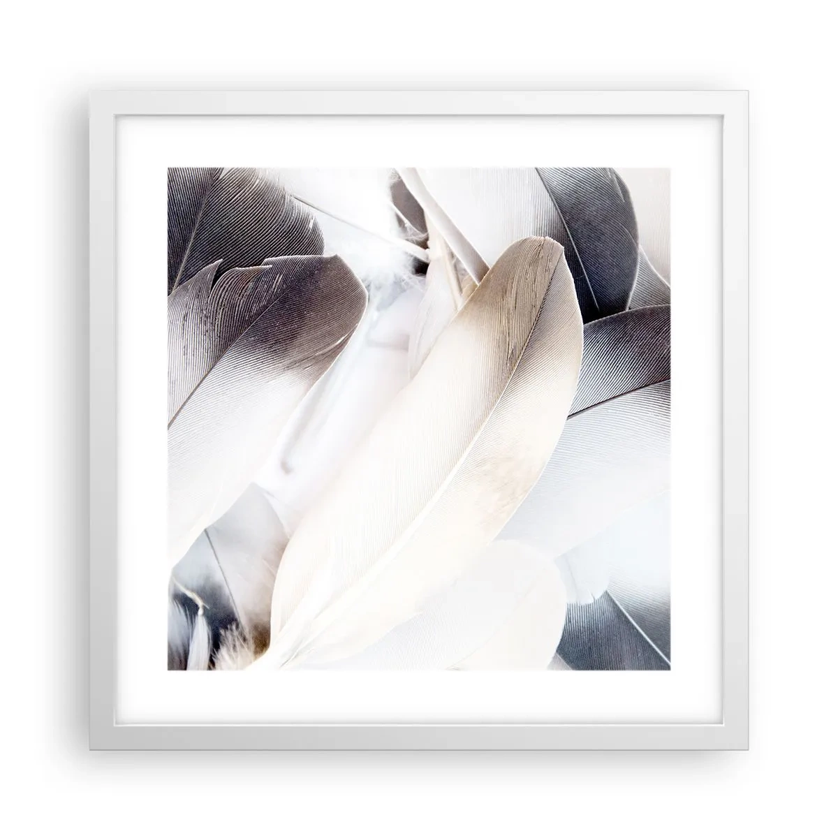 Poster in einem weißen Rahmen - Fast engelhaft - 40x40 cm