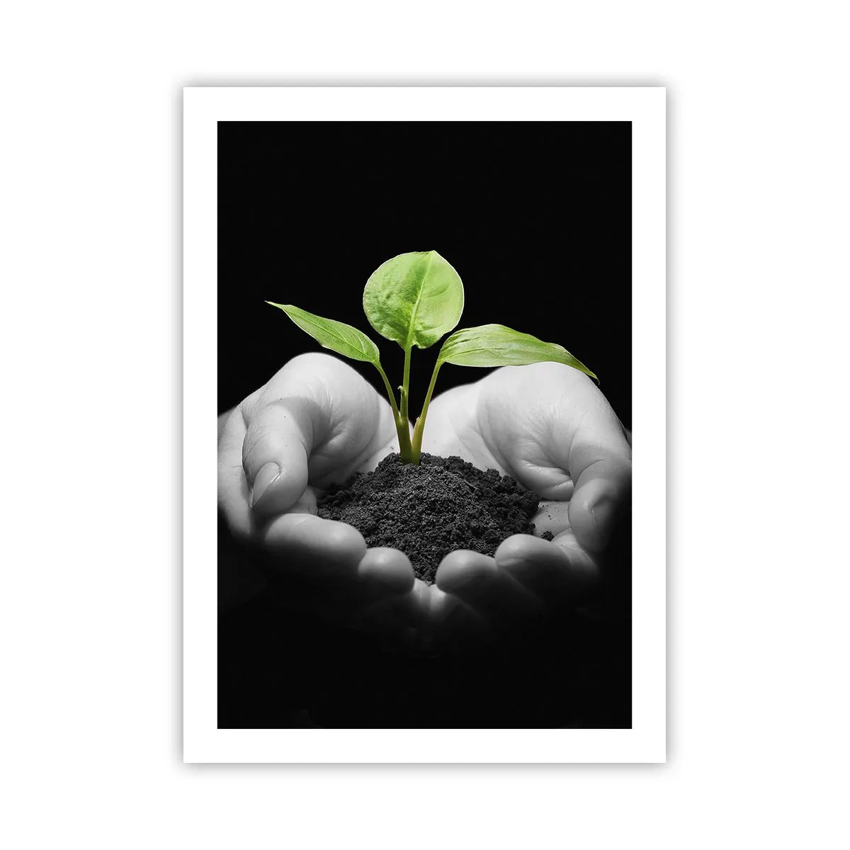 Poster - Eine Pflanze in den Händen symbolisiert Leben und Natur - 50x70cm - Ich liebe die Natur, ich beschütze sie - Moderne Wanddekoration für Wohnzimmer und Schlafzimmer ARTTOR