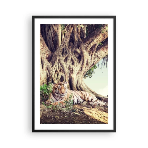 Poster in einem schwarzem Rahmen - Ein Tiger ruht unter einem riesigen Baum mit verschlungenen Wurzeln. - 50x70cm - Blick aus dem Buch Genesis - Moderne Wanddekoration für Wohnzimmer und Schlafzimmer ARTTOR