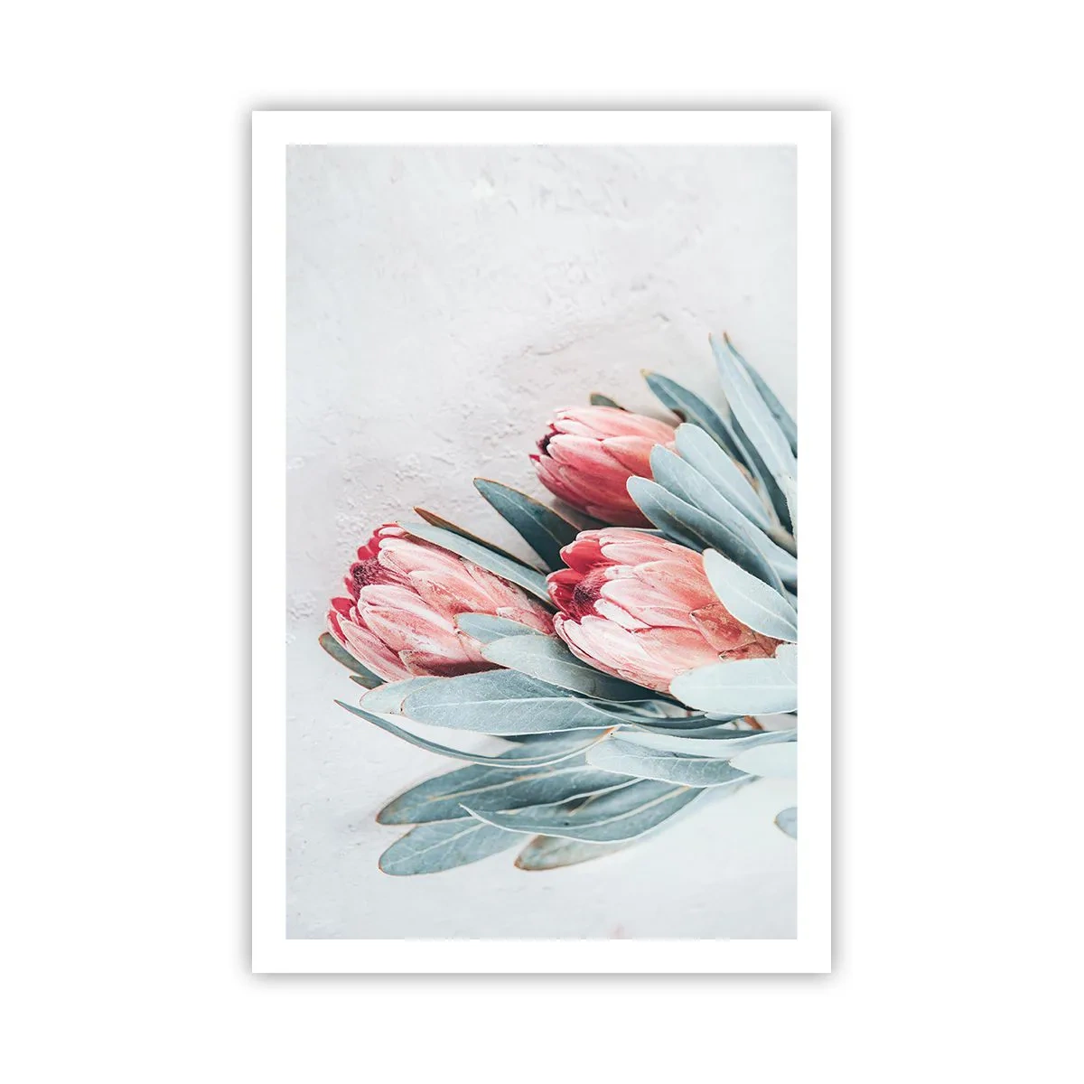 Poster - Schämen sich für ihre eigene Schönheit - 61x91 cm