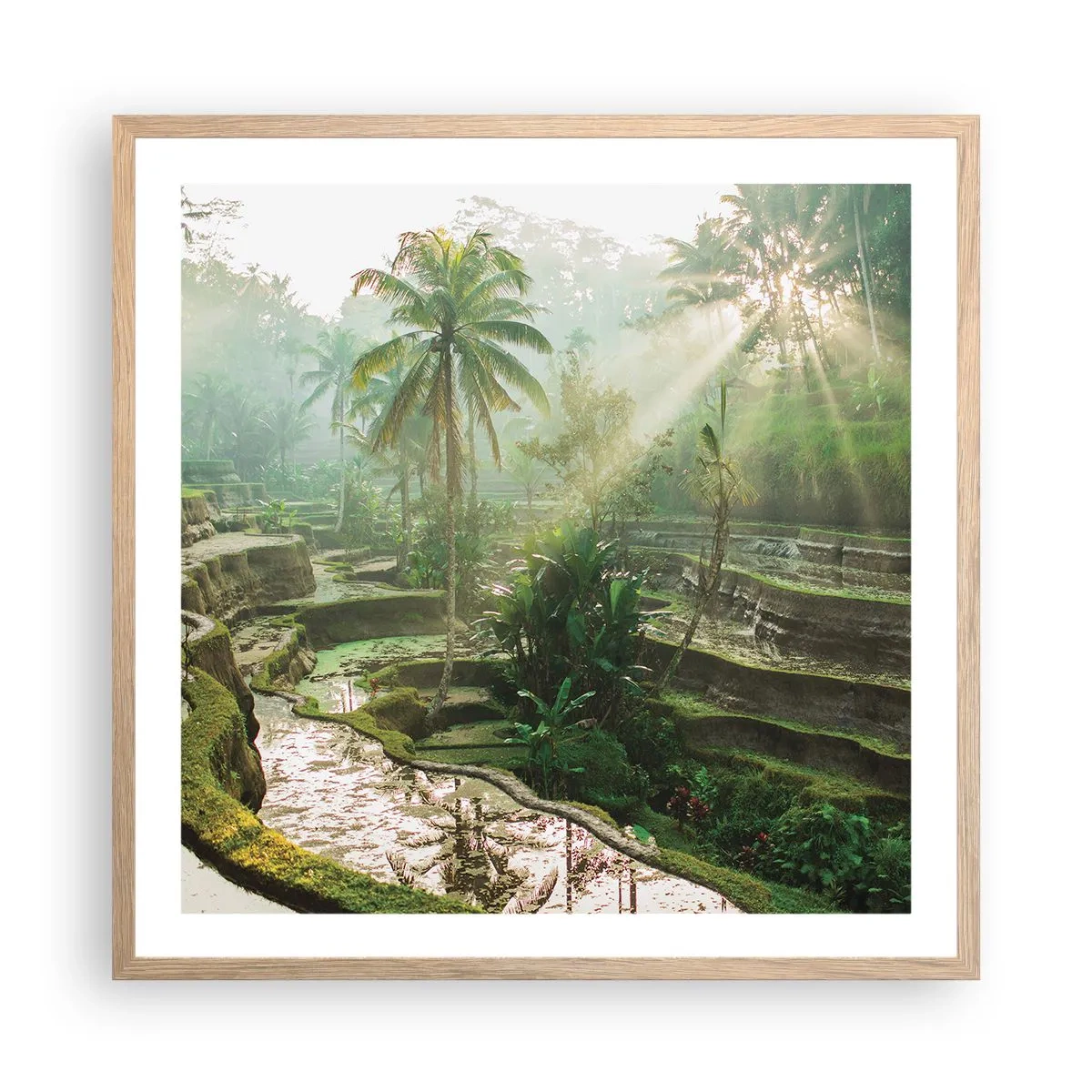 Poster in einem Rahmen aus heller Eiche - In der Sonne aufwachsen - 60x60 cm