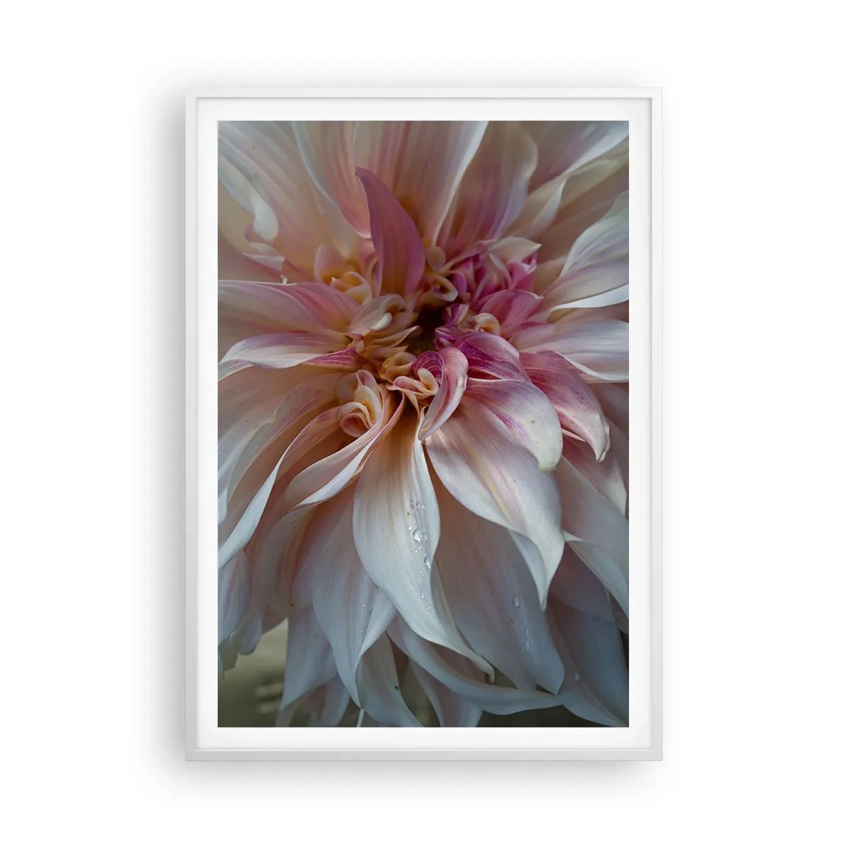 Poster in einem weißen Rahmen - Blühende Frische - 70x100 cm
