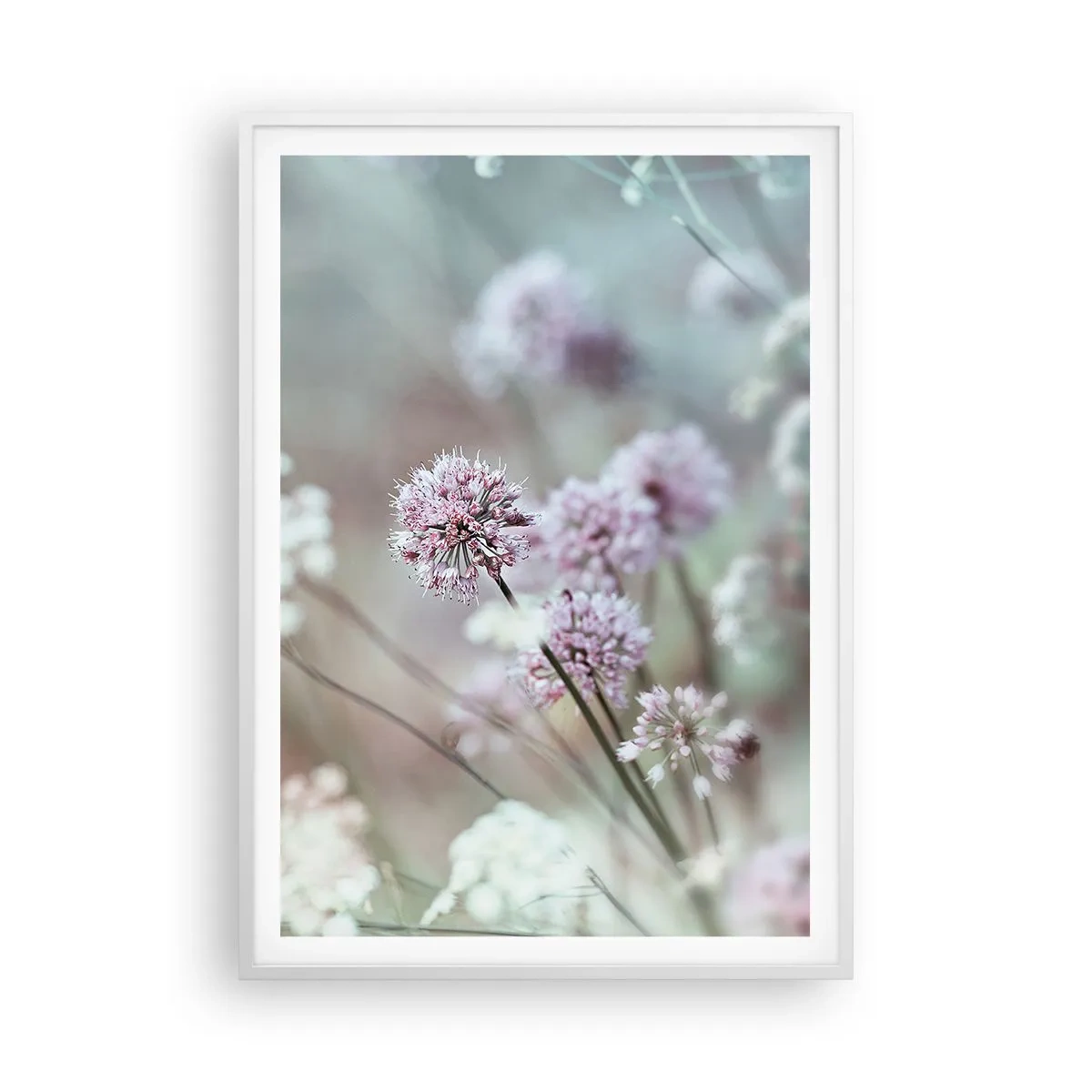 Poster in einem weißen Rahmen - Süße filigrane Kräuter - 70x100 cm