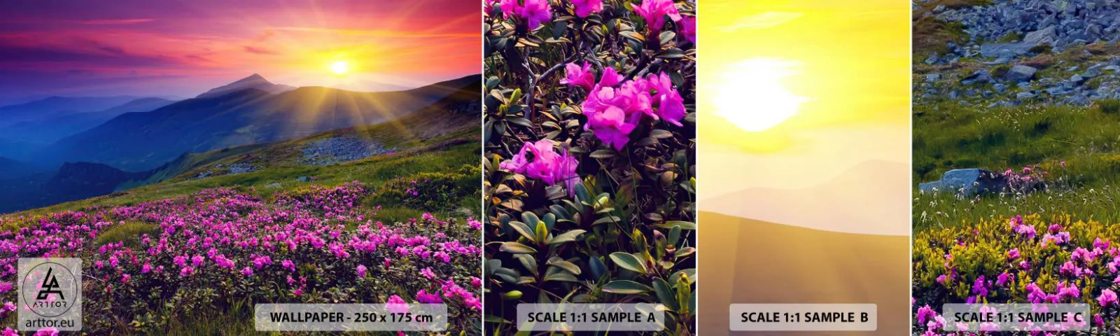 Fototapetenmuster Standard Eco - … Und drumherum duftet es nach Latschenkiefer und dem Duft von Kräutern - Landschaft, Berge, Sonnenuntergang - 100x30 cm