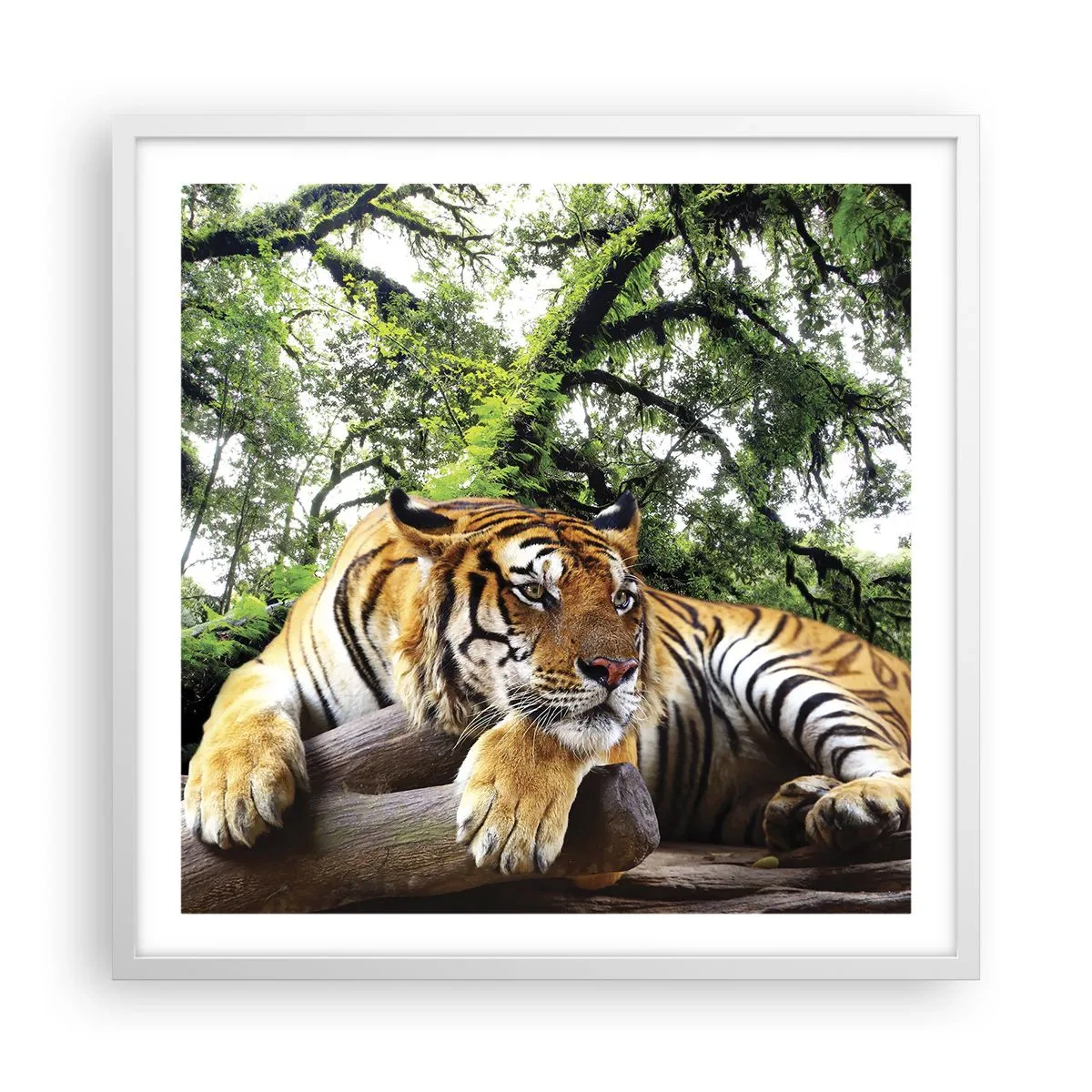 Poster in einem weißen Rahmen - Hochachtungsvoll - 60x60 cm