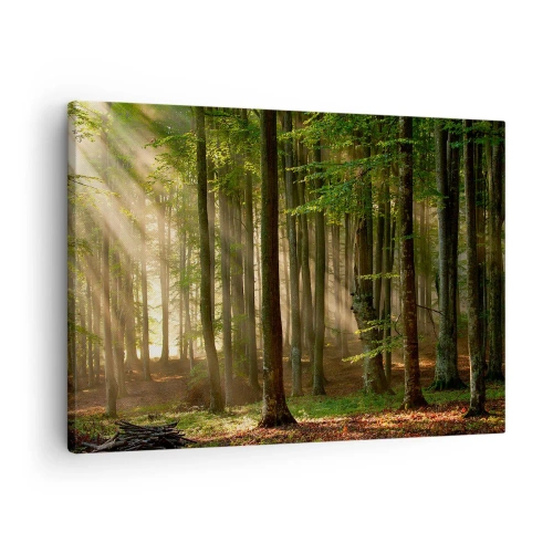 Bild auf Leinwand - Leinwandbild - Sonnenstrahlen dringen durch die Bäume im Wald - 70x50cm - Strahlend an einem Frühlingsmorgen - Moderne Wanddekoration für Wohnzimmer und Schlafzimmer ARTTOR
