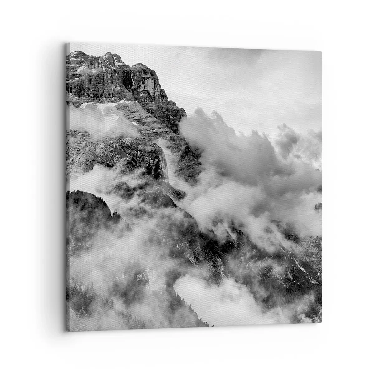 Bild auf Leinwand - Leinwandbild - Schön und grausam - 50x50 cm