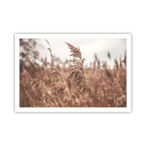 Poster - Auf den Feldern ist es schon Herbst - 91x61 cm