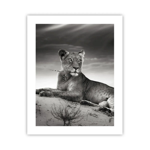 Poster - Die Königin der Wüstenruhe - 40x50 cm