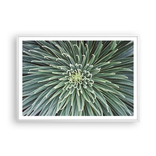 Poster in einem weißen Rahmen - Ein Star ist geboren - 100x70 cm