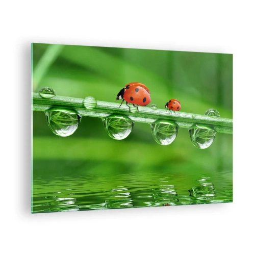 Glasbild - Bild auf glas - Marienkäfer auf einem Grashalm mit Tautropfen und Spiegelung im Wasser - 70x50cm - Den ganzen Sommer unterwegs - Moderne Wanddekoration für Wohnzimmer und Schlafzimmer ARTTOR