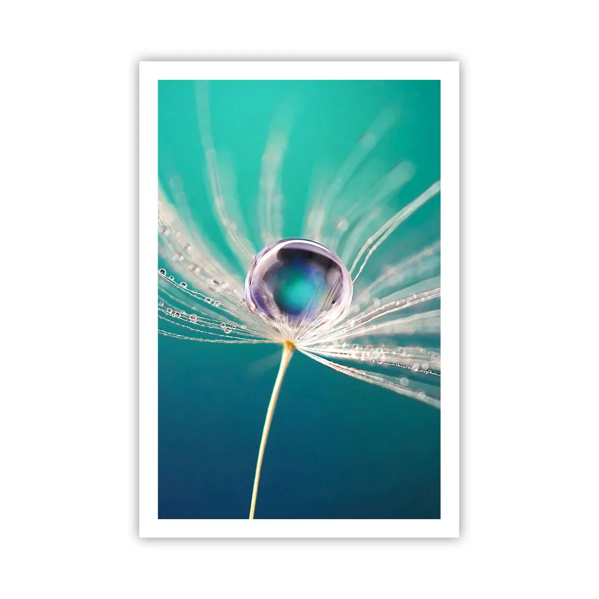 Poster - Mystischer Moment - 61x91 cm