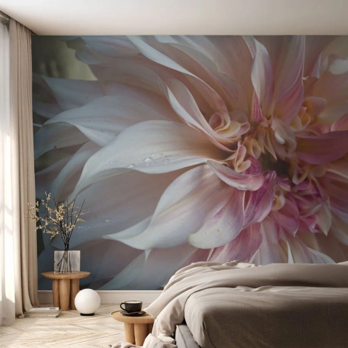 Selbstklebende Fototapete Deluxe Sticker - Blühende Frische - Blume, Dahlie, Anlage - 100x70 cm