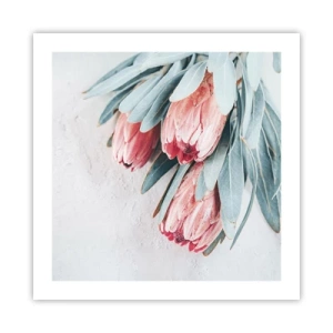 Poster - Schämen sich für ihre eigene Schönheit - 50x50 cm