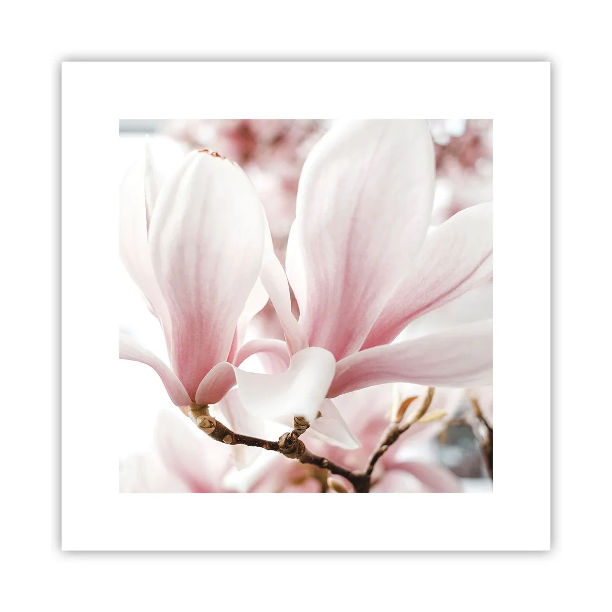 Poster - Eine Fülle von Zärtlichkeit - 30x30 cm