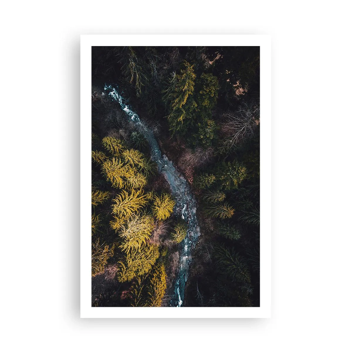 Poster - Schnell und immer schneller - 61x91 cm