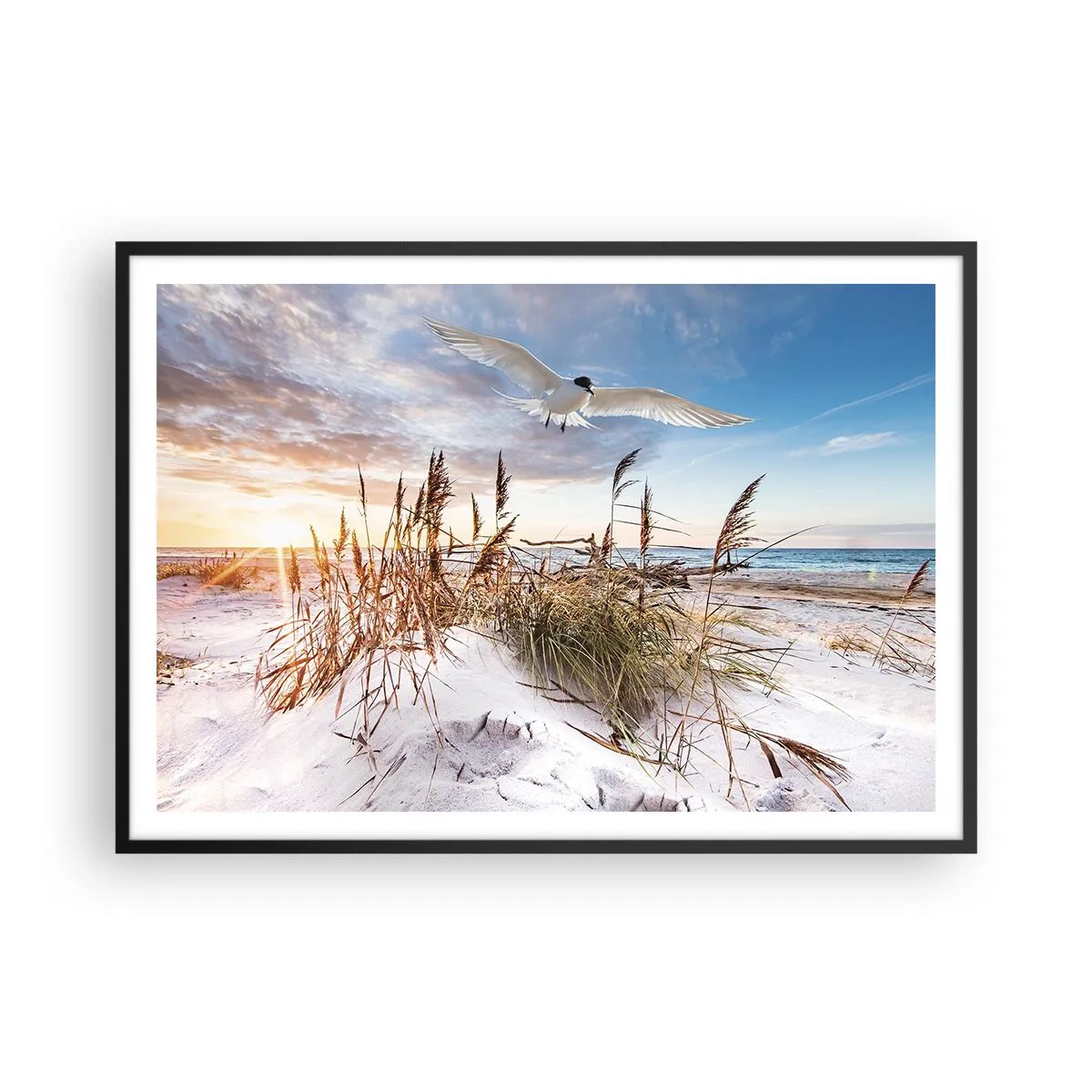 Poster in einem schwarzem Rahmen - Strand mit fliegenden Möwen bei Sonnenuntergang - 100x70cm - Wind vom Meer - Moderne Wanddekoration für Wohnzimmer und Schlafzimmer ARTTOR