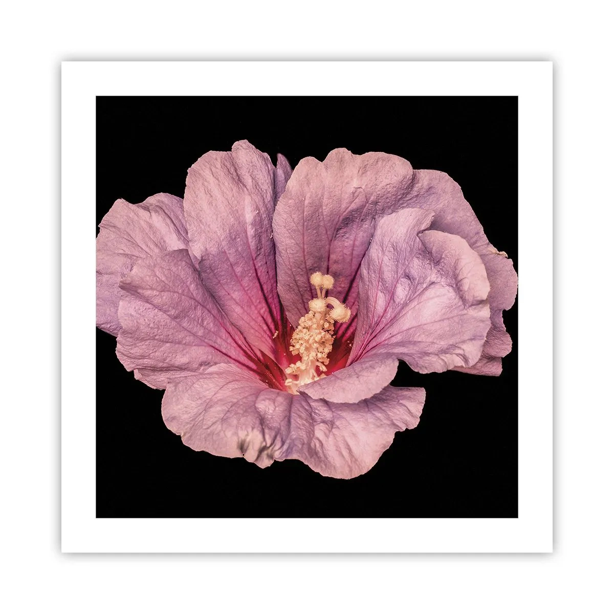 Poster - Direkt ins Herz - 50x50 cm