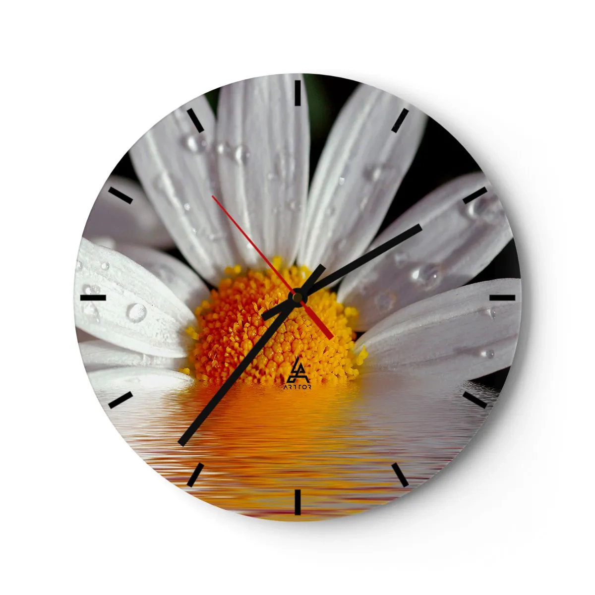 Wanduhr - Glasuhr - Die aufgehende Sonne der Gänseblümchen - 40x40 cm