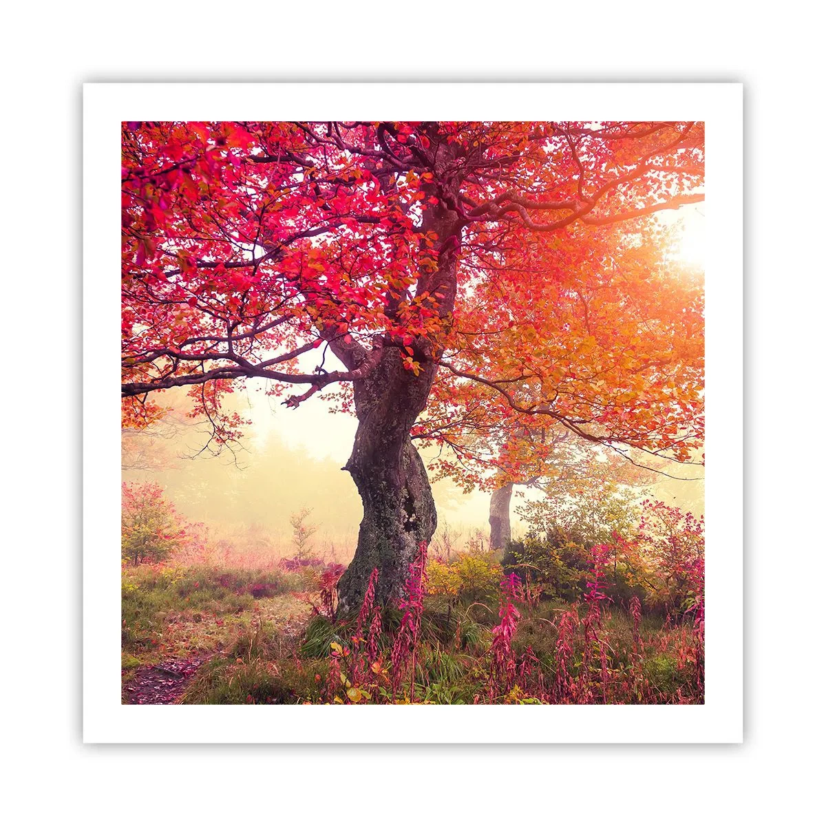 Poster - Blühende Raserei - 60x60 cm