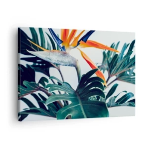 Bild auf Leinwand - Leinwandbild - Strelitzia-Blüte, umgeben von Blättern in hellem Licht - 70x50cm - Vogelbusch - Moderne Wanddekoration für Wohnzimmer und Schlafzimmer ARTTOR