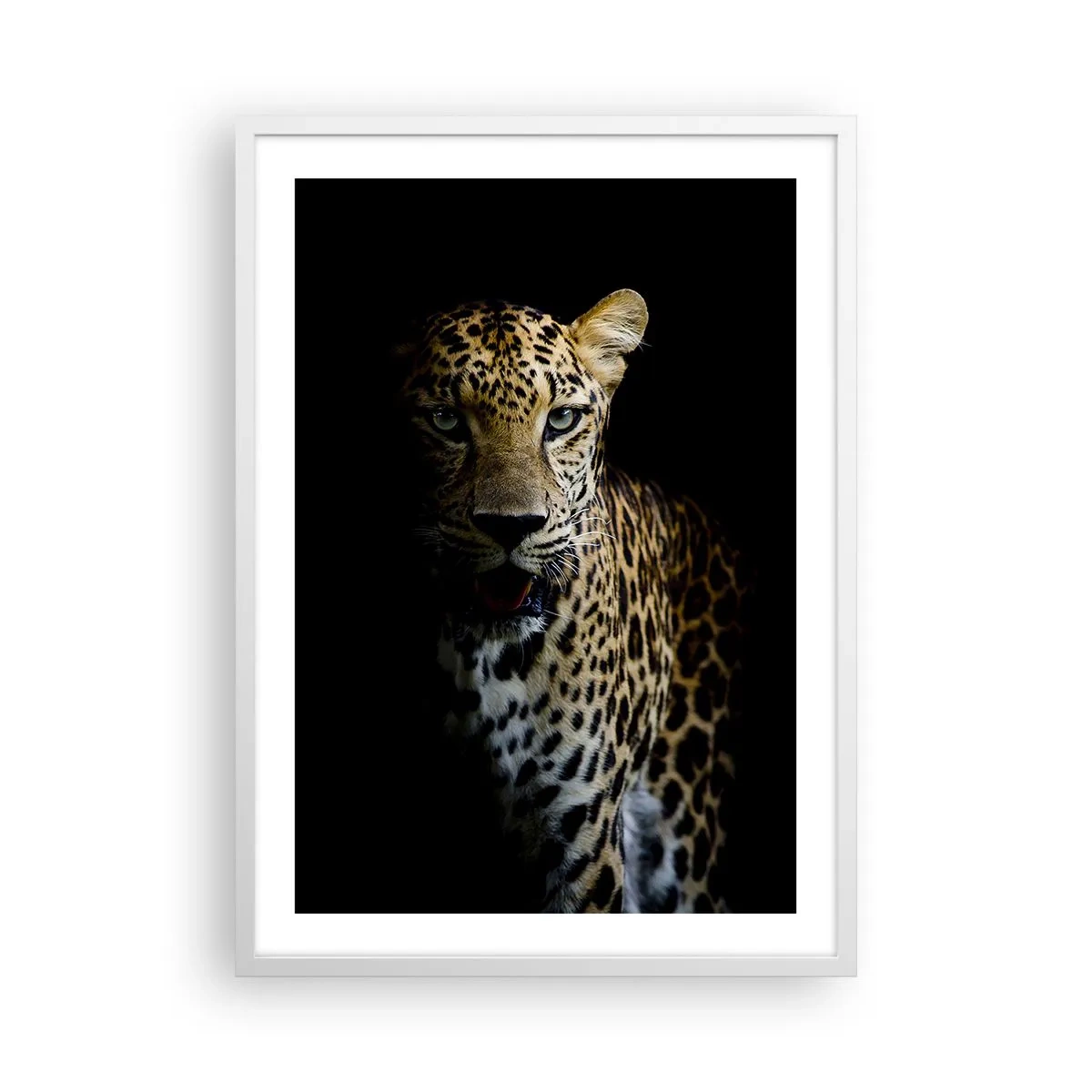 Poster in einem weißen Rahmen - Dunkle Schönheit - 50x70 cm