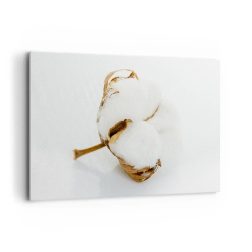 Bild auf Leinwand - Leinwandbild - Ein Baumwollzweig auf hellem Hintergrund in minimalistischem Ansatz - 100x70cm - Von Natur aus weich - Moderne Wanddekoration für Wohnzimmer und Schlafzimmer ARTTOR