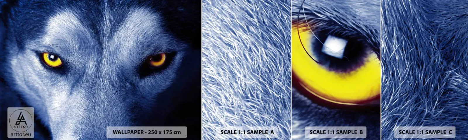 Fototapeten Muster Selbstklebend Deluxe Sticker - Faszinierender Blick - Tiere, Wolf, Augen - 100x30 cm