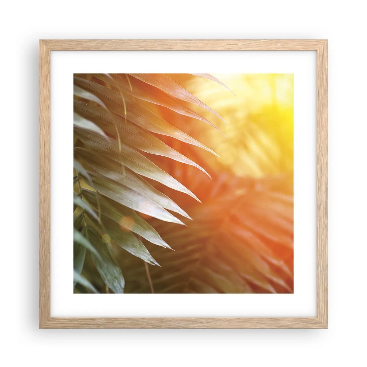 Poster in einem Rahmen aus heller Eiche - Morgen im Dschungel - 40x40 cm