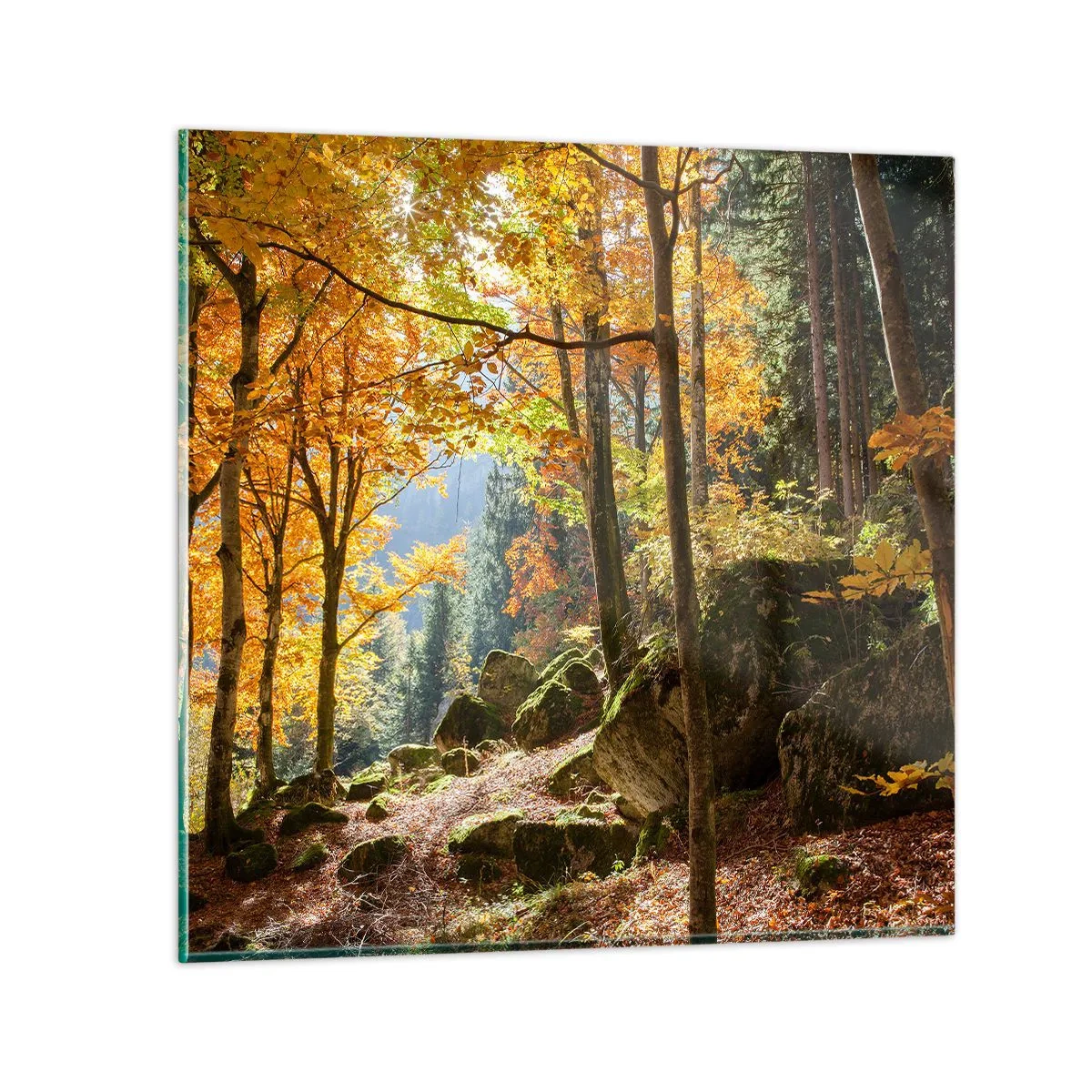 Glasbild - Bild auf glas - Zeit zum Entspannen - 50x50 cm