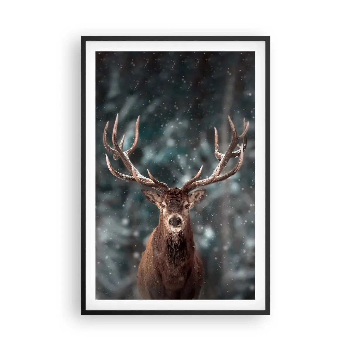 Poster in einem schwarzem Rahmen - Gekrönter König des Waldes - 61x91 cm