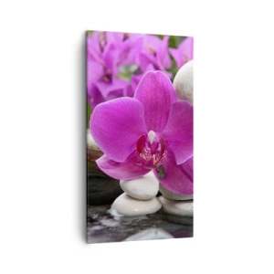 Bild auf Leinwand - Leinwandbild - Du ruhst dich schon aus - 45x80 cm