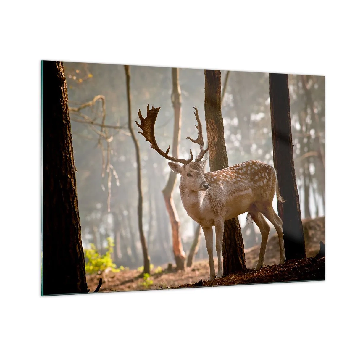 Glasbild - Bild auf glas - Ein Reh im Wald, umgeben von Morgennebel - 100x70cm - Das Licht der Jugend - Moderne Wanddekoration für Wohnzimmer und Schlafzimmer ARTTOR