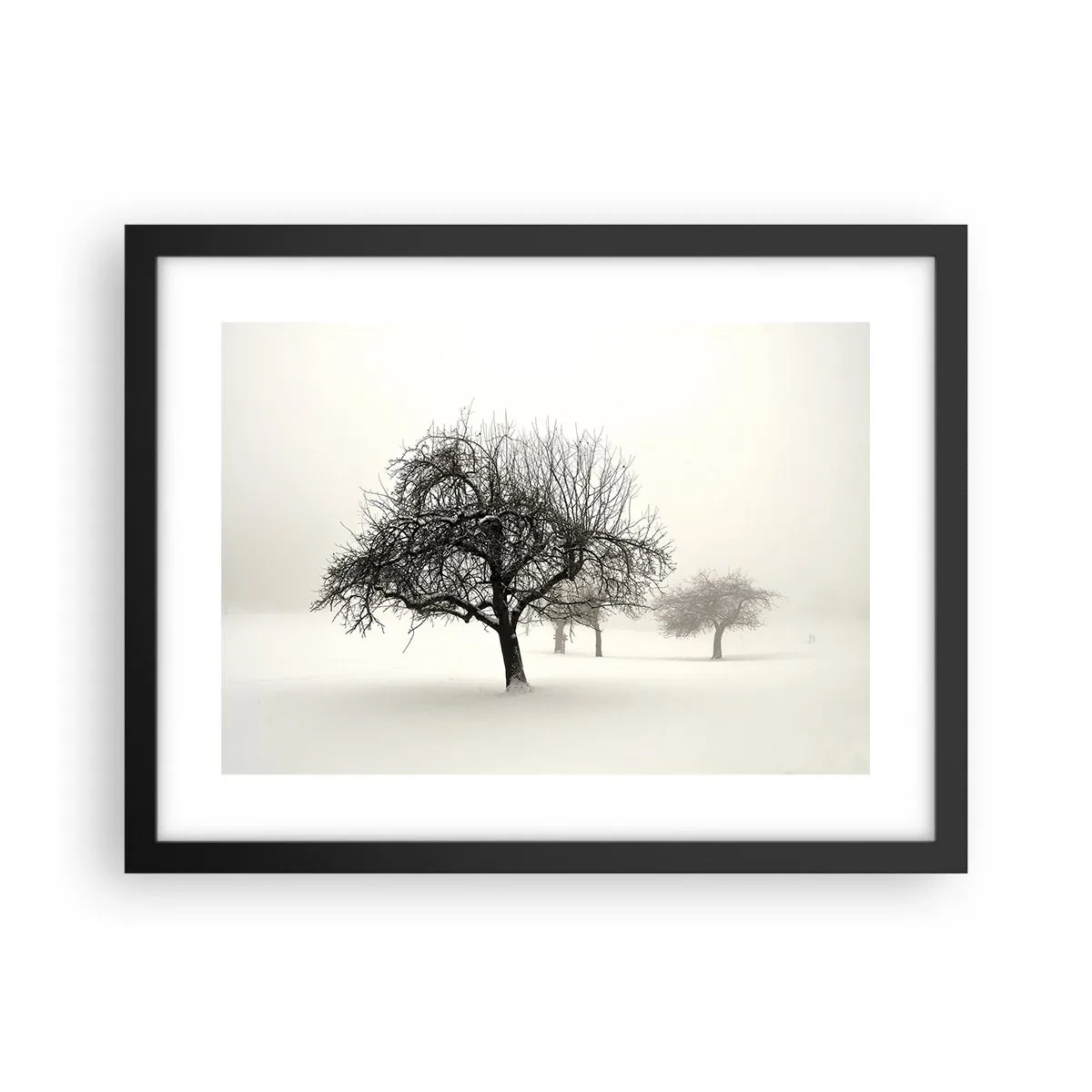 Poster in einem schwarzem Rahmen - Winterschlaf - 40x30 cm