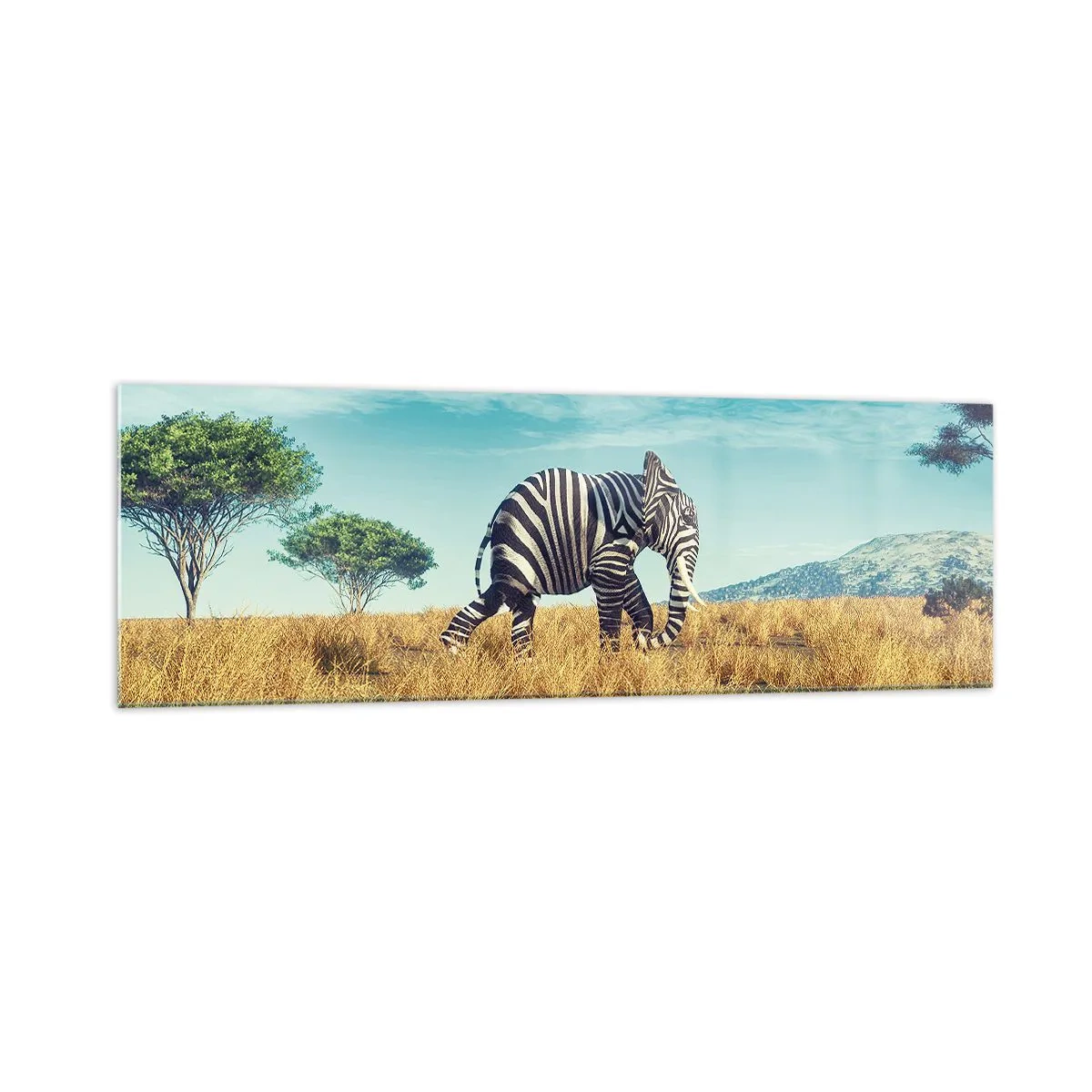Glasbild - Bild auf glas - Zebra in einer afrikanischen Landschaft - 160x50cm - Grau ist nicht mehr in Mode - Moderne Wanddekoration für Wohnzimmer und Schlafzimmer ARTTOR