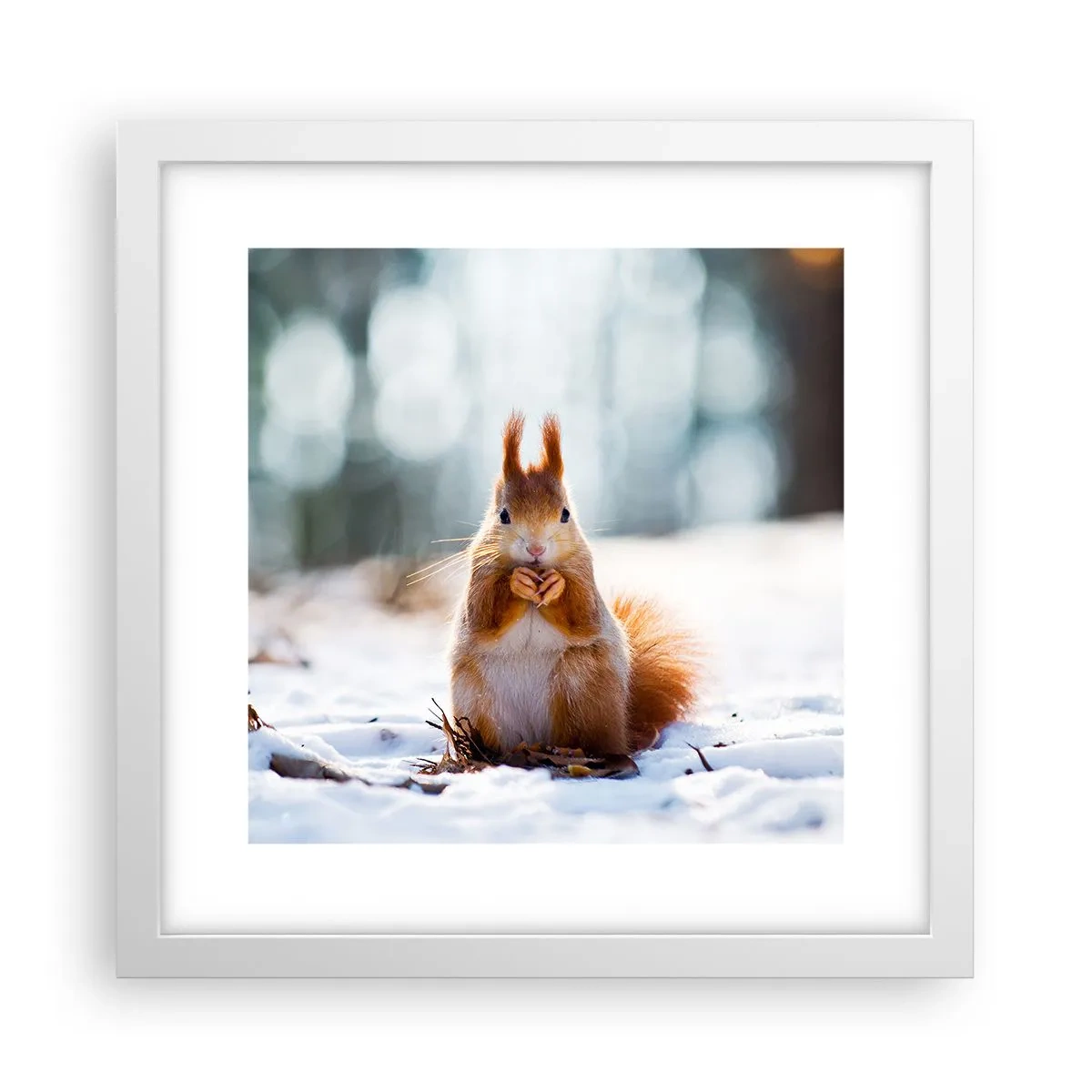 Poster in einem weißen Rahmen - Wo schaust du hin? - 30x30 cm