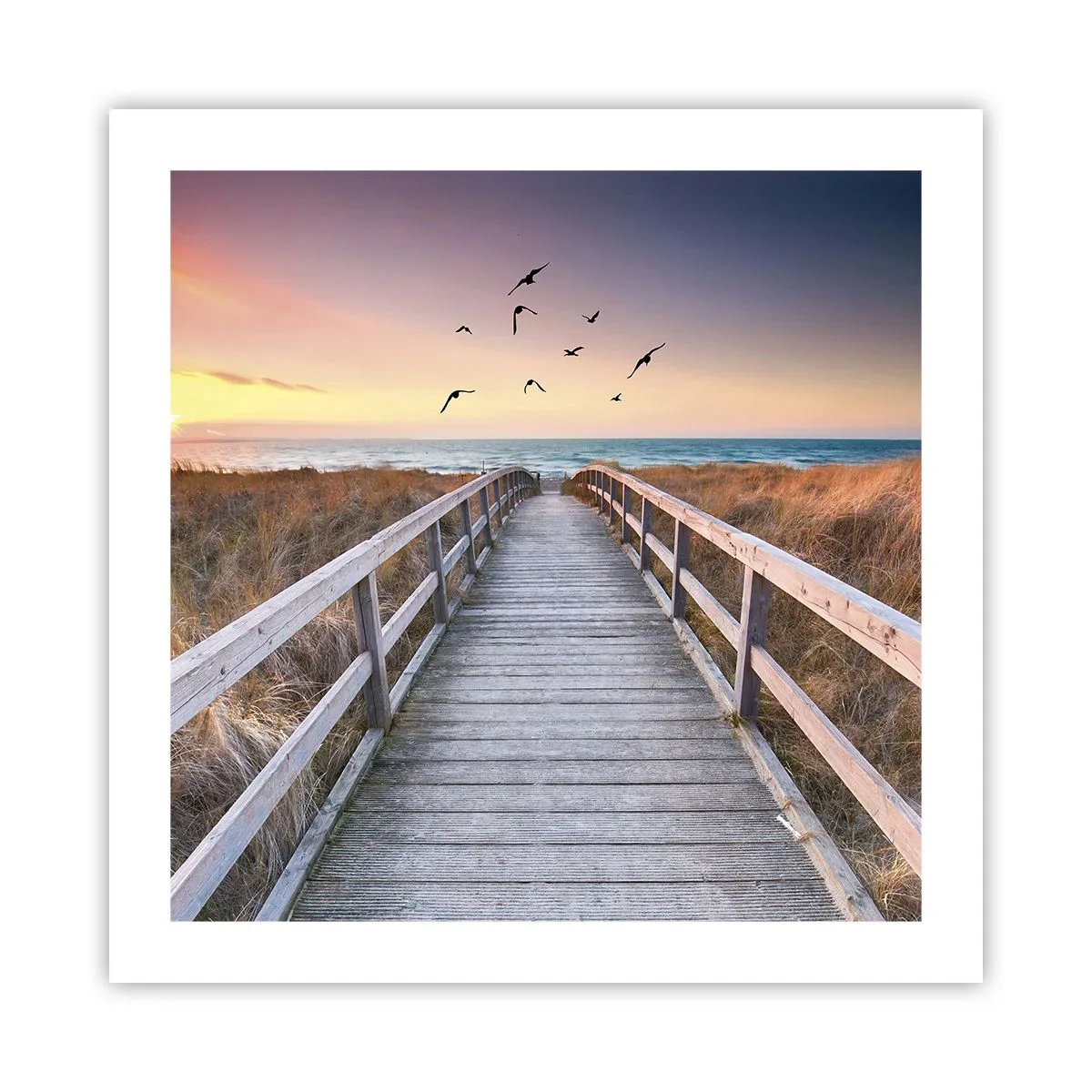 Poster - Der Raum für Auffliegen - 50x50 cm