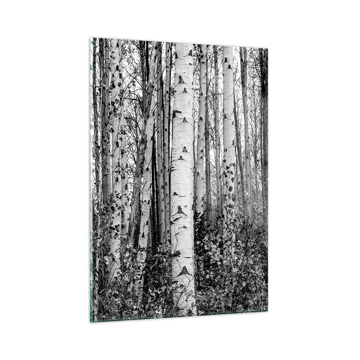Glasbild - Bild auf glas - Schwarze und weiße Birken schaffen eine dichte Waldlandschaft - 50x70cm - Birkenkolonnade - Moderne Wanddekoration für Wohnzimmer und Schlafzimmer ARTTOR