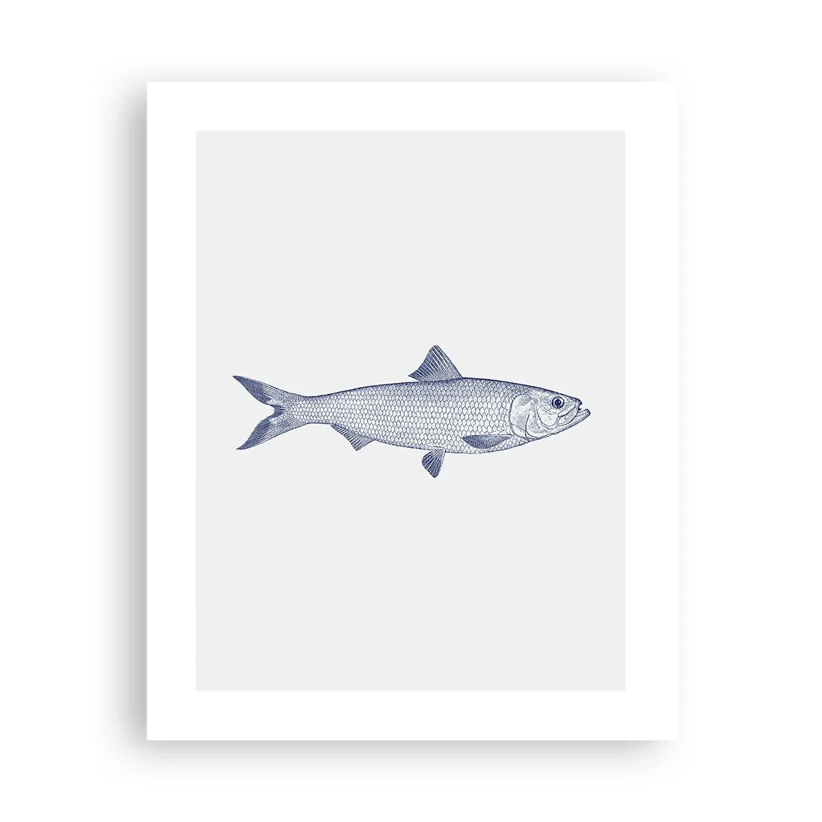 Poster - Grüße aus den nördlichen Meeren - 40x50 cm