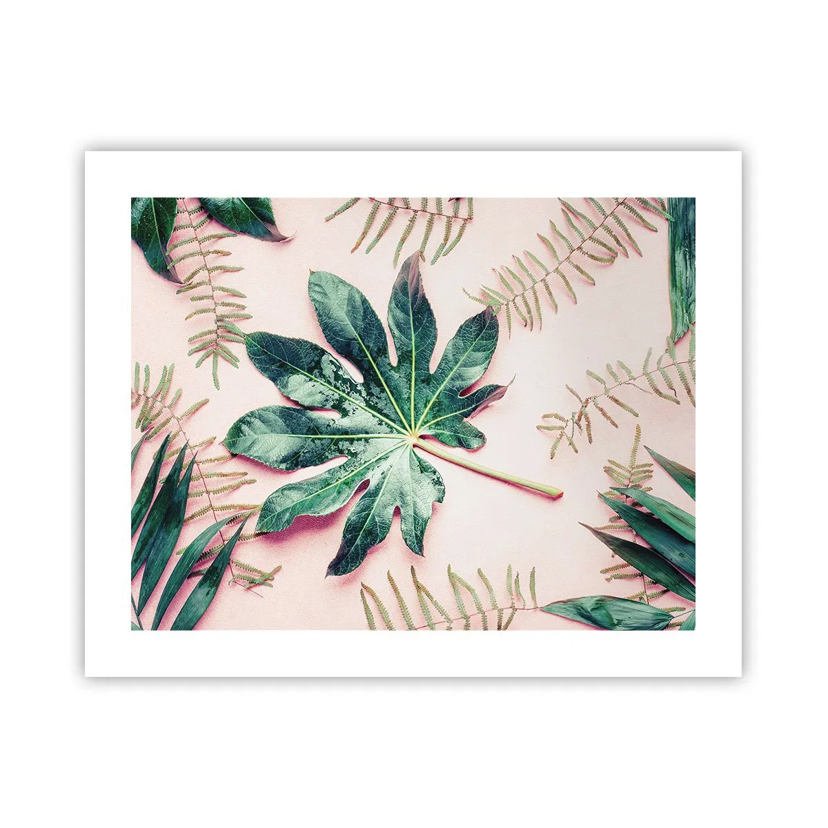 Poster - Eine Studie von Grün auf einem rosa Hintergrund - 50x40 cm