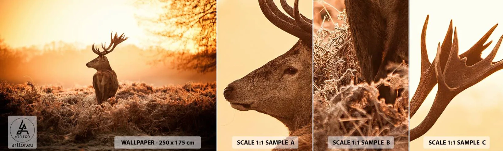 Fototapetenmuster Standard Eco - Herr im eigenen Land - Landschaft, Reh, Tiere - 100x30 cm