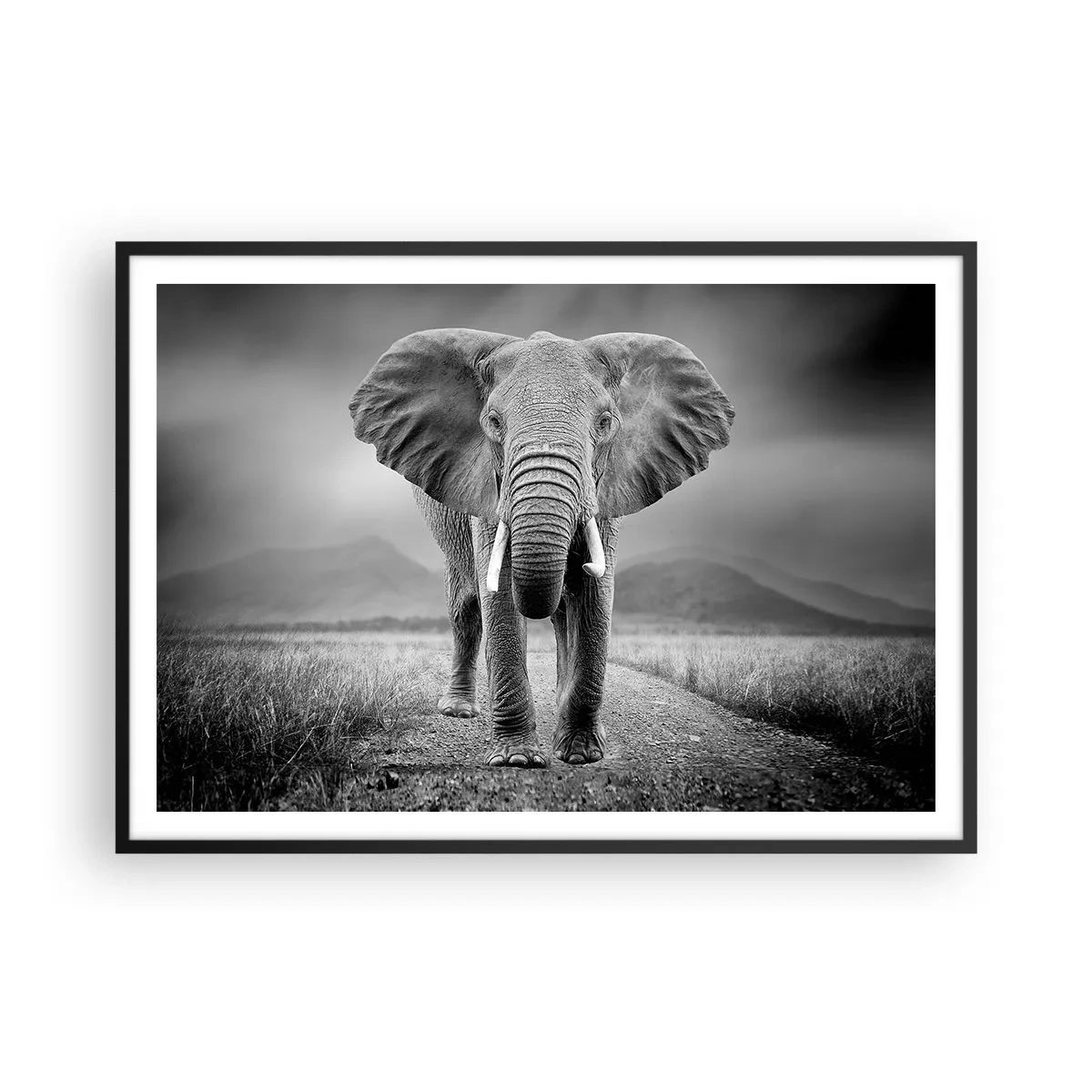 Poster in einem schwarzem Rahmen - Ein mächtiger Elefant in der Savanne in monochromen Tönen - 100x70cm - Der Gastgeber heißt willkommen - Moderne Wanddekoration für Wohnzimmer und Schlafzimmer ARTTOR