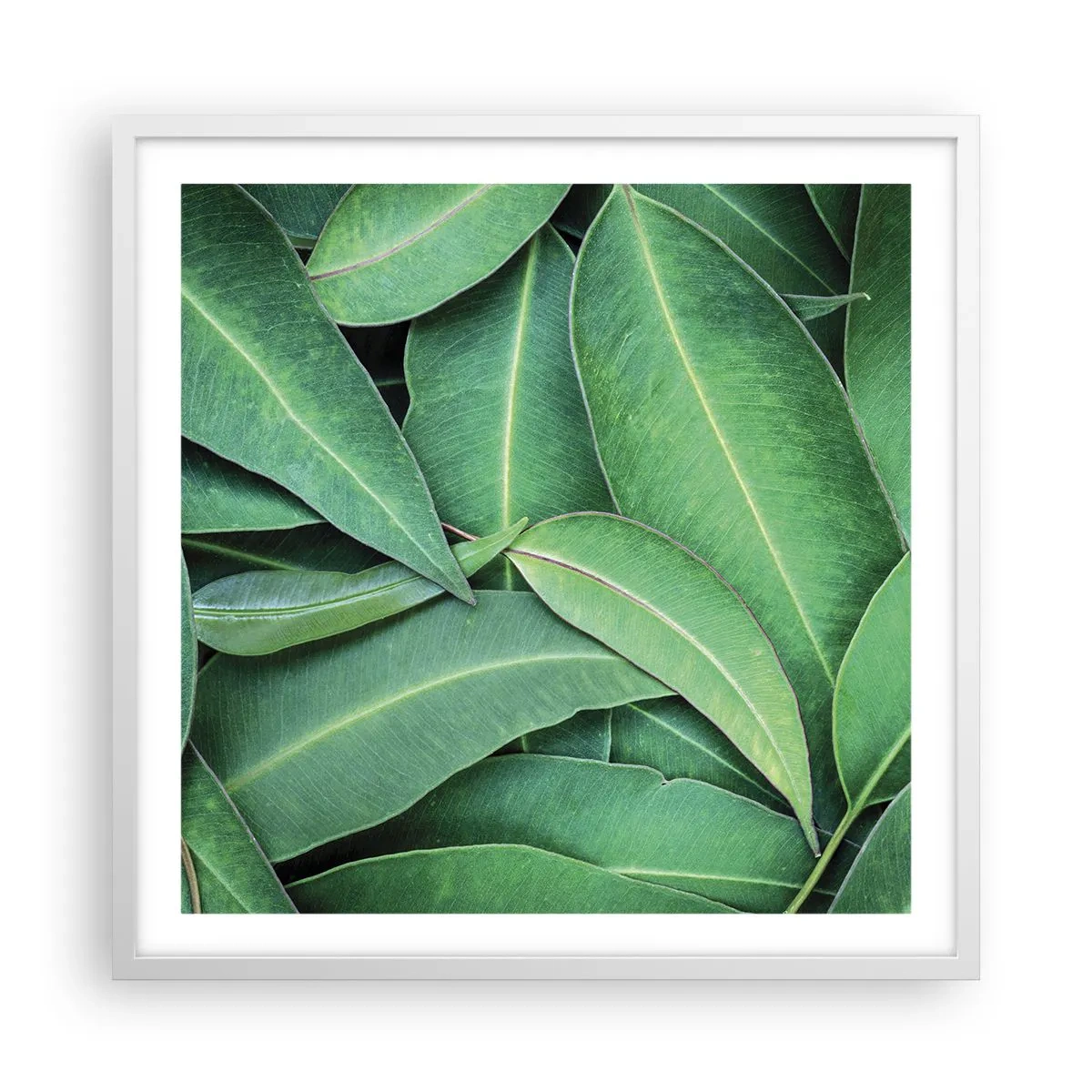 Poster in einem weißen Rahmen - Saftig und frisch - 60x60 cm