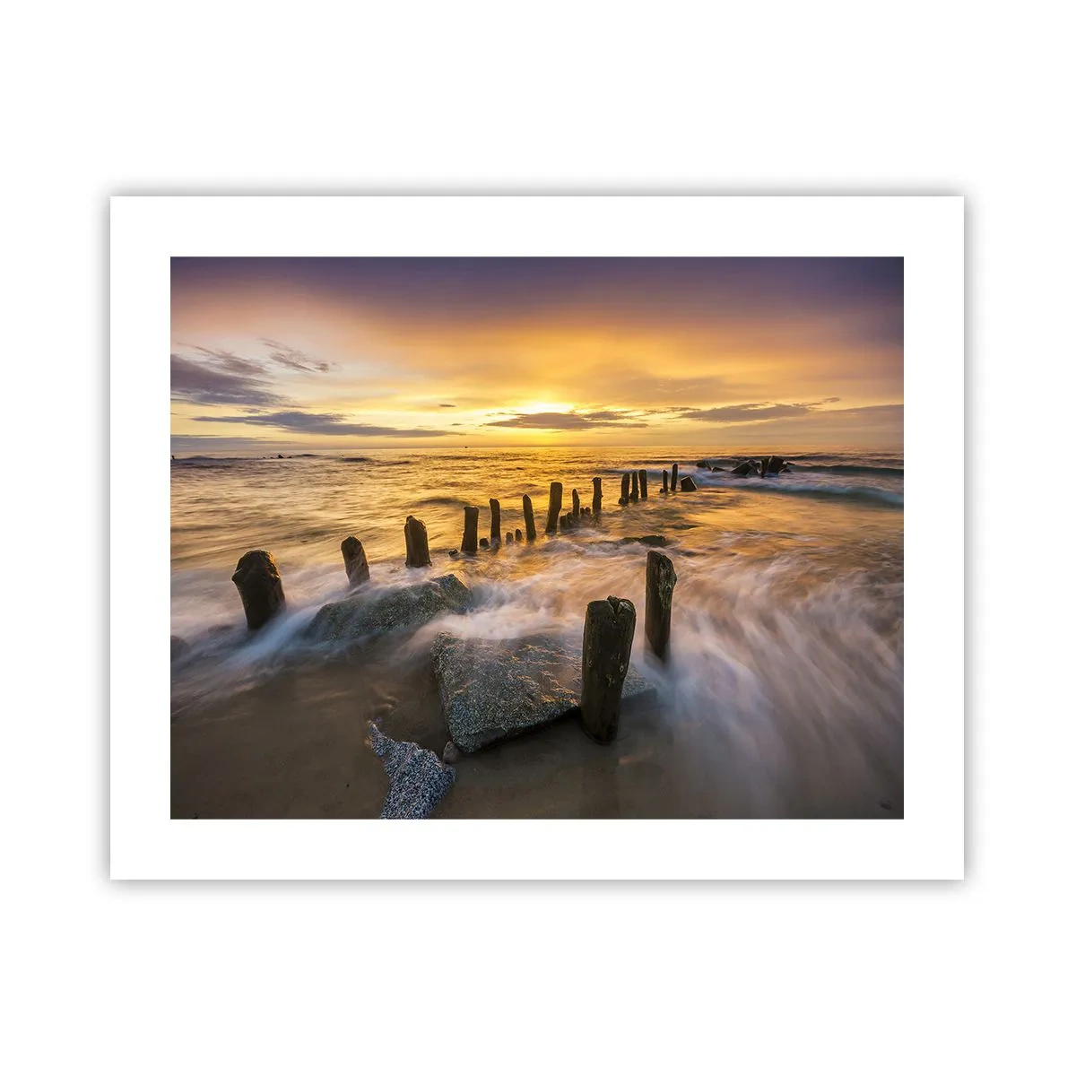 Poster - Die raue Schönheit der Ostsee - 50x40 cm