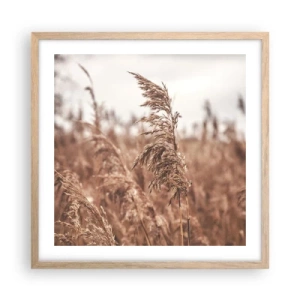 Poster in einem Rahmen aus heller Eiche - Auf den Feldern ist es schon Herbst - 50x50 cm