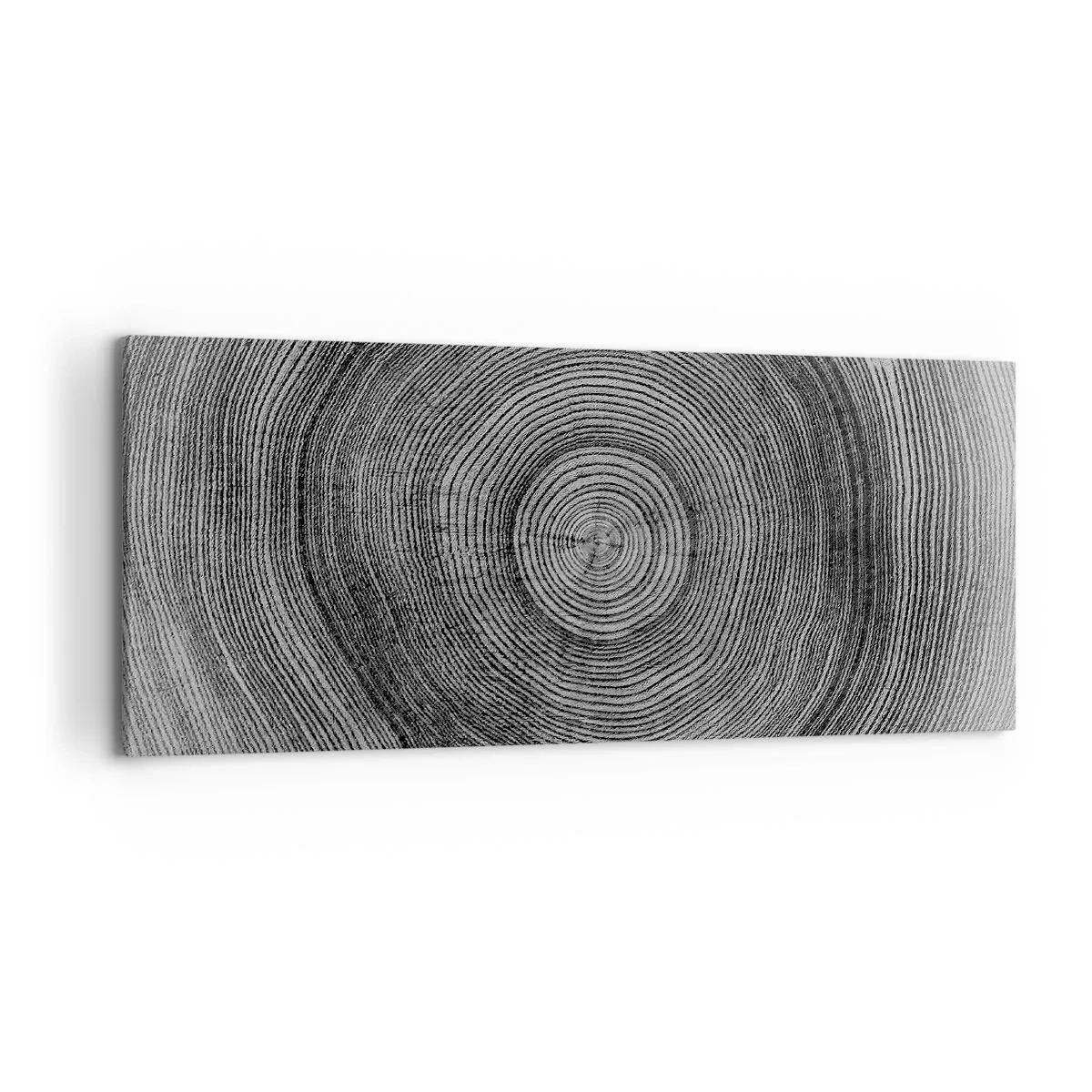 Bild auf Leinwand - Leinwandbild - Schwarz-weißes Baumringmuster, das einen Querschnitt des Stammes zeigt - 120x50cm - Zeichen der Zeit - Moderne Wanddekoration für Wohnzimmer und Schlafzimmer ARTTOR